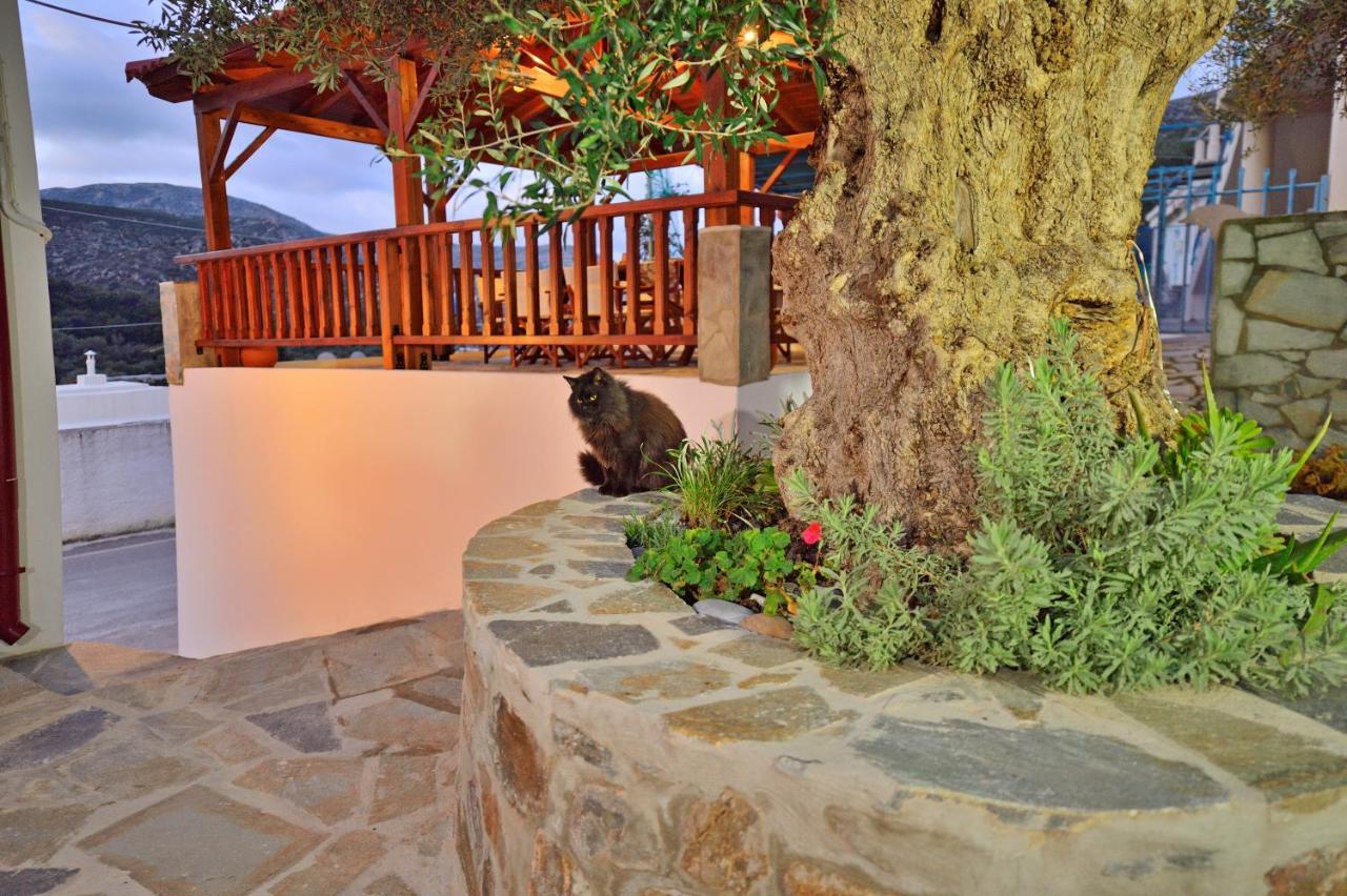 Plokamos House Villa Plokamiana Bagian luar foto