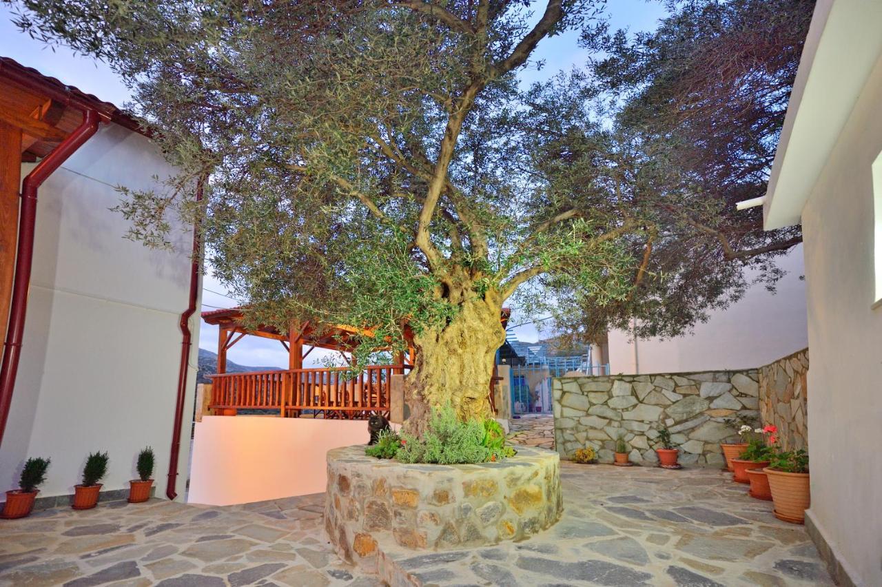 Plokamos House Villa Plokamiana Bagian luar foto